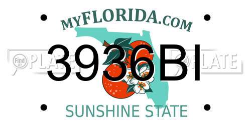 3936BI Florida License Plate