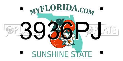 3936PJ Florida License Plate