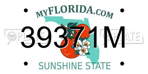 39371M Florida License Plate