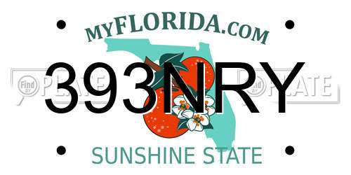 393NRY Florida License Plate