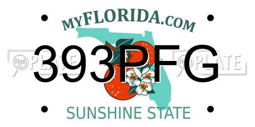 393PFG Florida License Plate