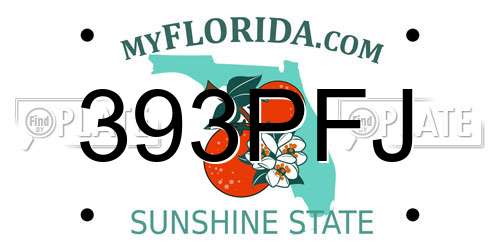 393PFJ Florida License Plate