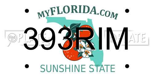 393RIM Florida License Plate