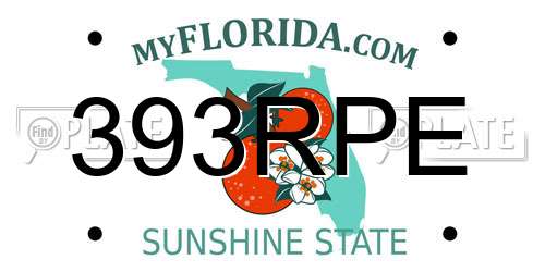 393RPE Florida License Plate