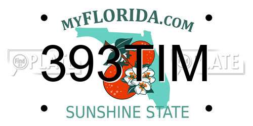 393TIM Florida License Plate