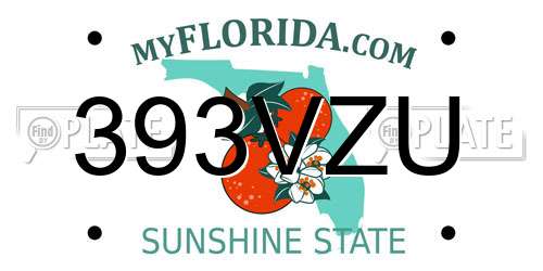 393VZU Florida License Plate