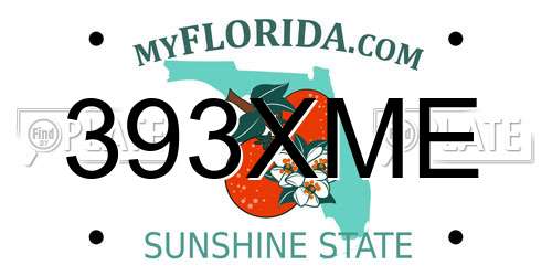 393XME Florida License Plate