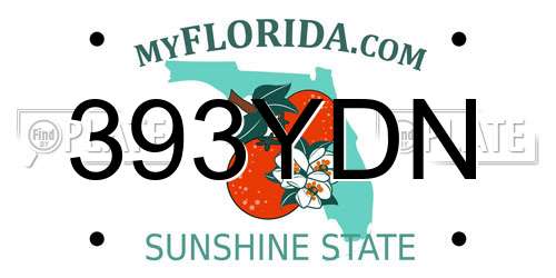 393YDN Florida License Plate