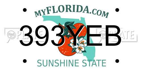 393YEB Florida License Plate