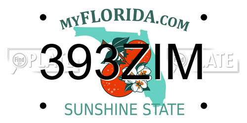 393ZIM Florida License Plate