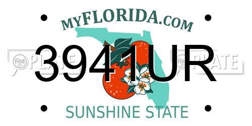 3941UR Florida License Plate