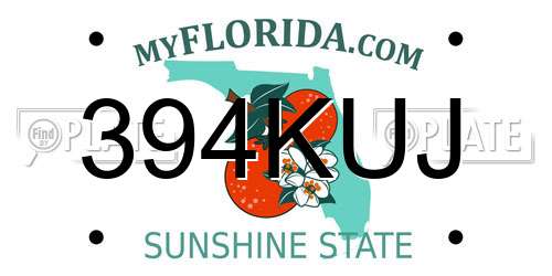 394KUJ Florida License Plate