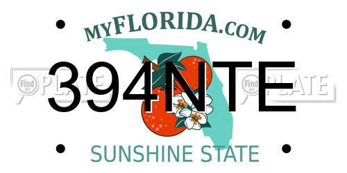 394NTE Florida License Plate