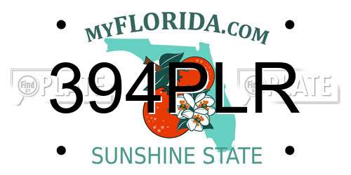 394PLR Florida License Plate