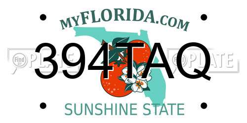 394TAQ Florida License Plate