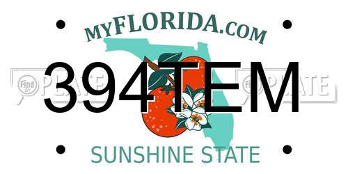 394TEM Florida License Plate