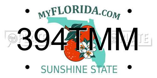 394TMM Florida License Plate