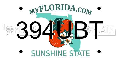 394UBT Florida License Plate