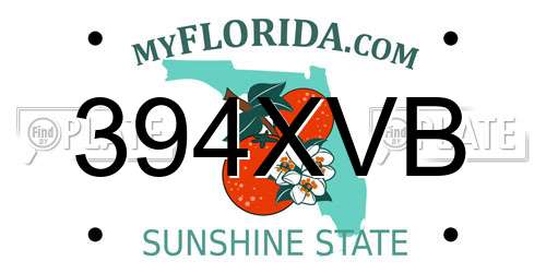 394XVB Florida License Plate