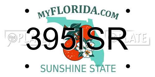 395ISR Florida License Plate