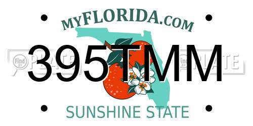 395TMM Florida License Plate