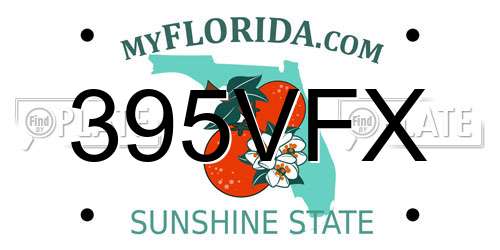395VFX Florida License Plate