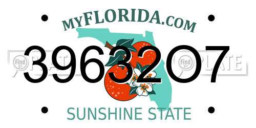 39632O7 Florida License Plate