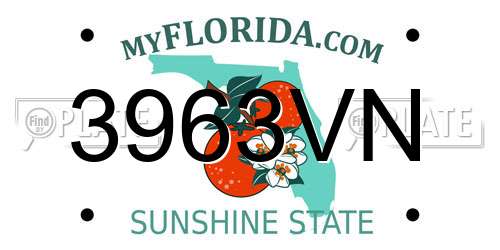 3963VN Florida License Plate