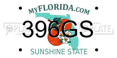 396GS Florida License Plate