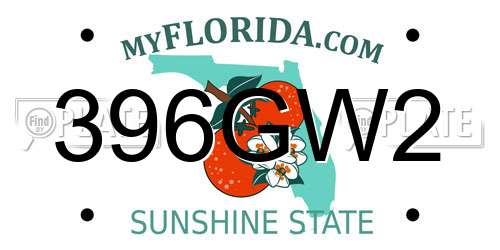 396GW2 Florida License Plate