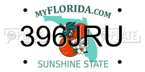 396JRU Florida License Plate