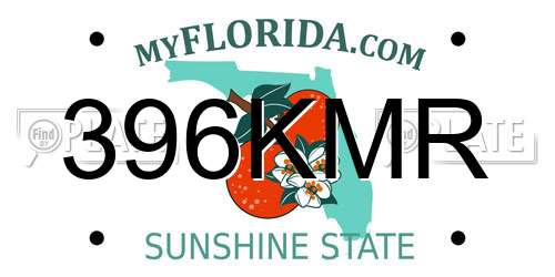 396KMR Florida License Plate