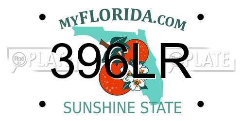 396LR Florida License Plate
