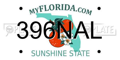 396NAL Florida License Plate