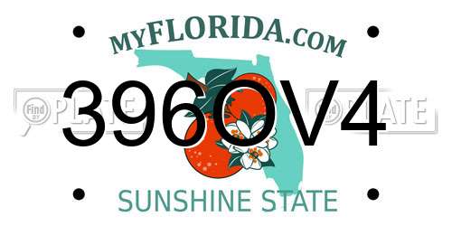 396OV4 Florida License Plate
