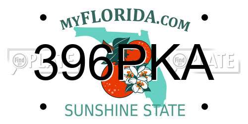 396PKA Florida License Plate
