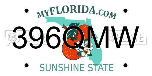 396QMW Florida License Plate