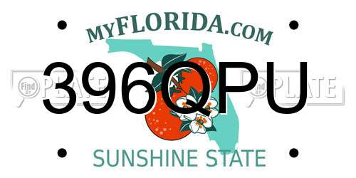 396QPU Florida License Plate