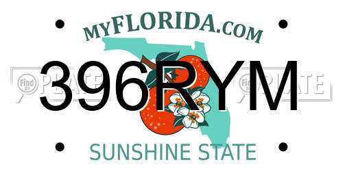 396RYM Florida License Plate