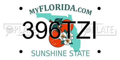 396TZI Florida License Plate