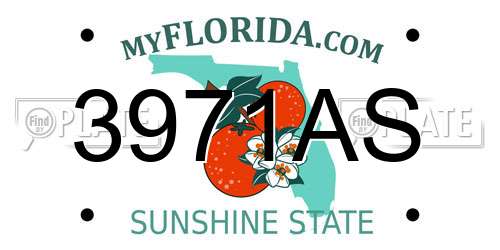3971AS Florida License Plate