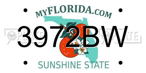 3972BW Florida License Plate