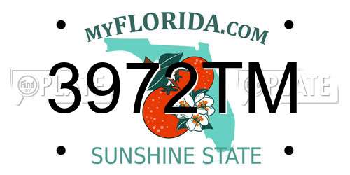 3972TM Florida License Plate
