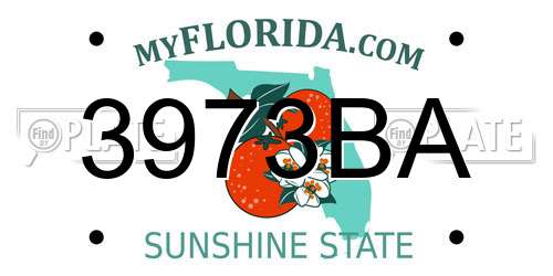 3973BA Florida License Plate