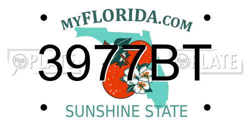 3977BT Florida License Plate