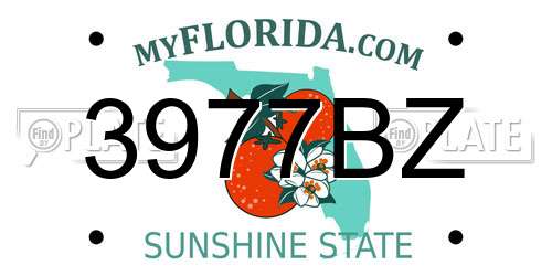 3977BZ Florida License Plate