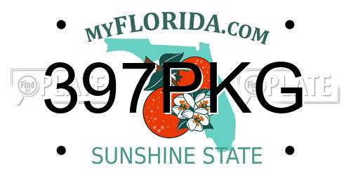 397PKG Florida License Plate