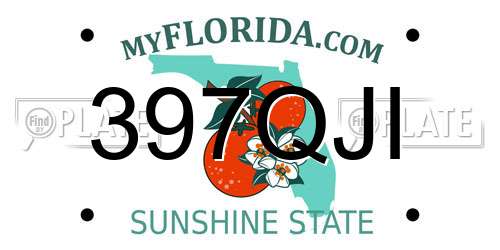 397QJI Florida License Plate