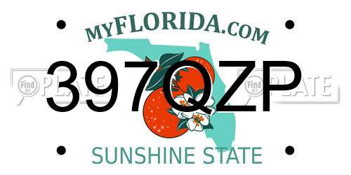 397QZP Florida License Plate