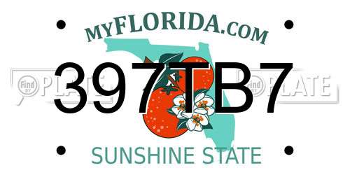 397TB7 Florida License Plate